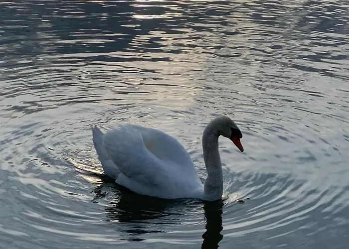 The Ugly Duckling Apartman Dormelletto