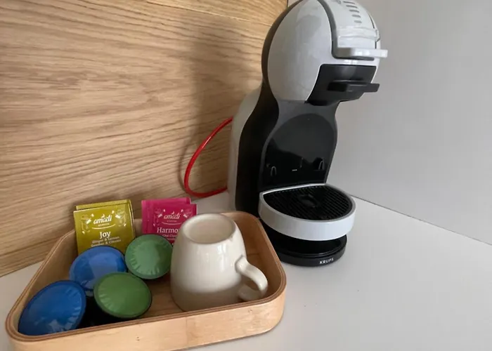 The Ugly Duckling Dormelletto